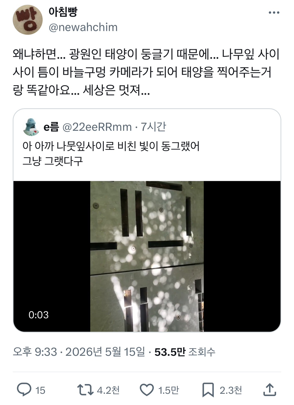 나뭇잎-아래-태양빛이-동그란-이유-1-이미지