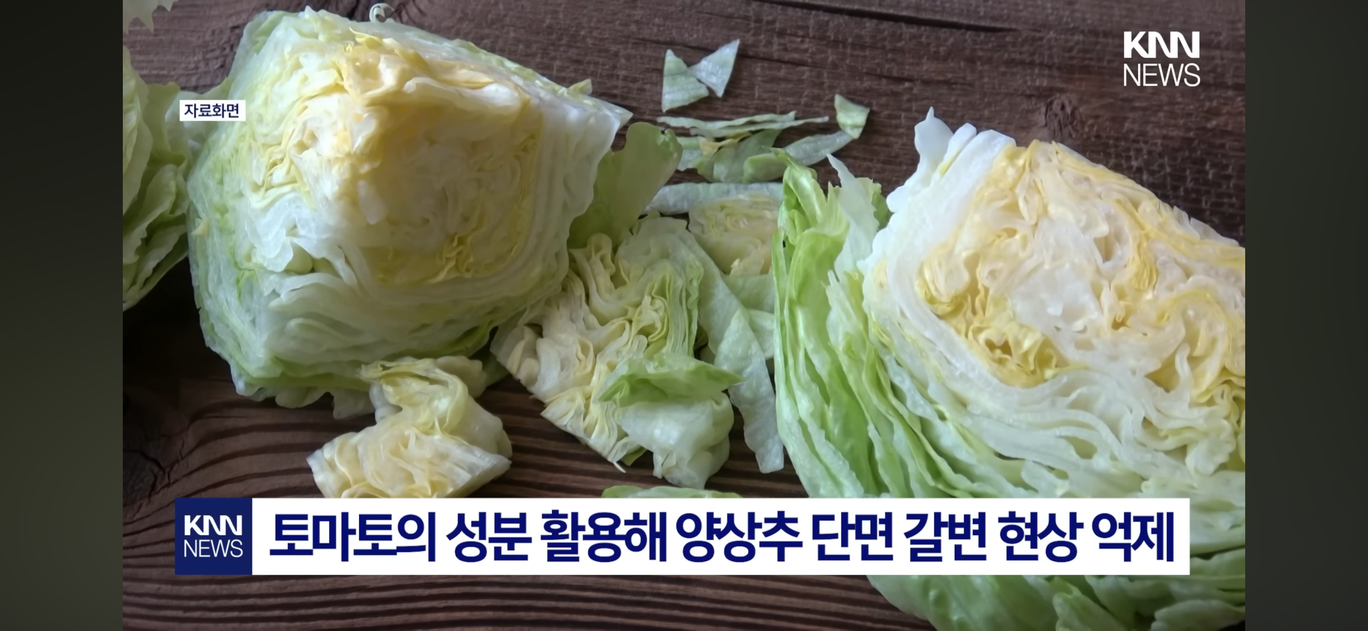 수박과-랩-사이에-방울토마토는-왜-끼워뒀을까?-4-이미지