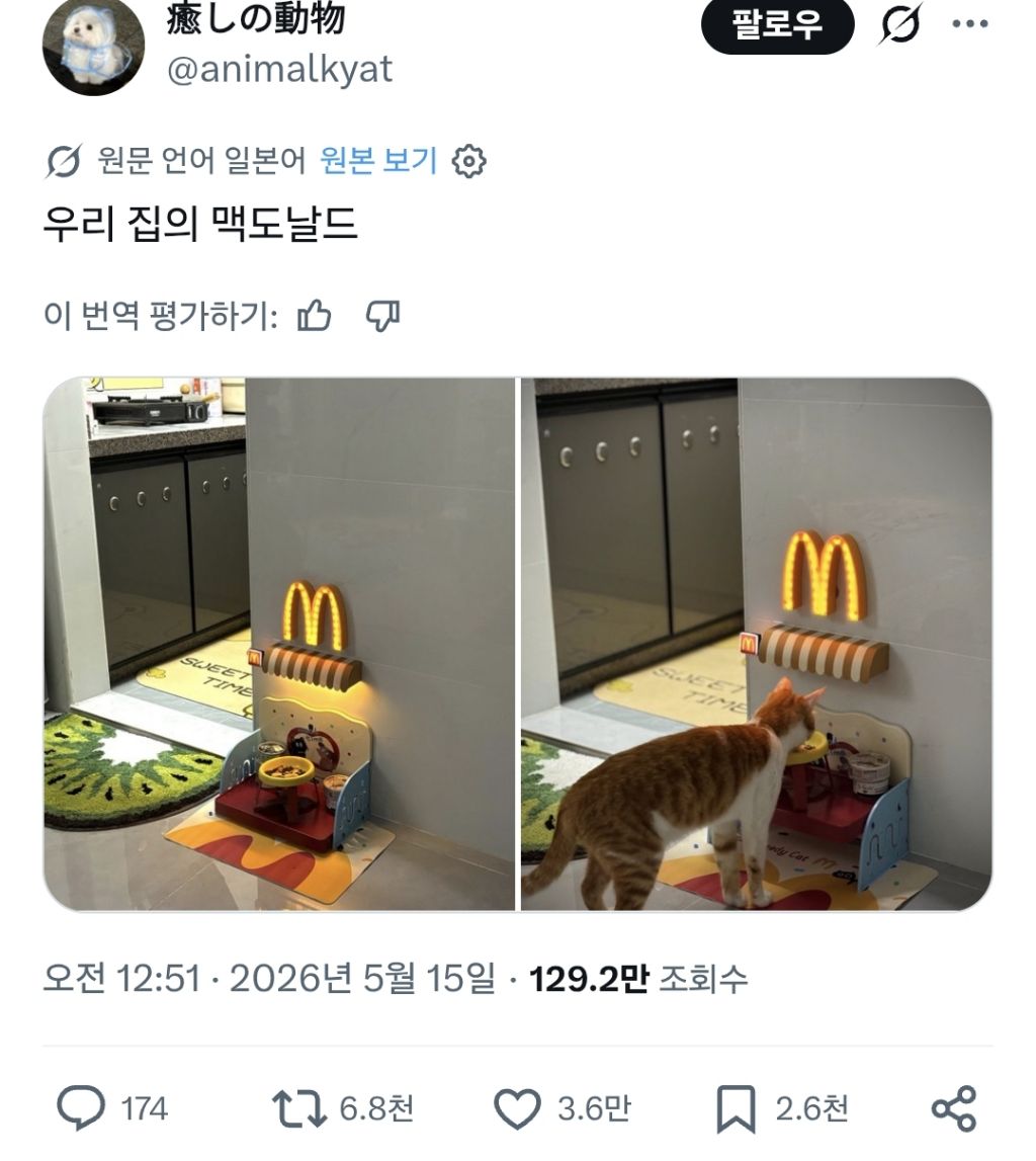 우리집-맥도날드-0-이미지