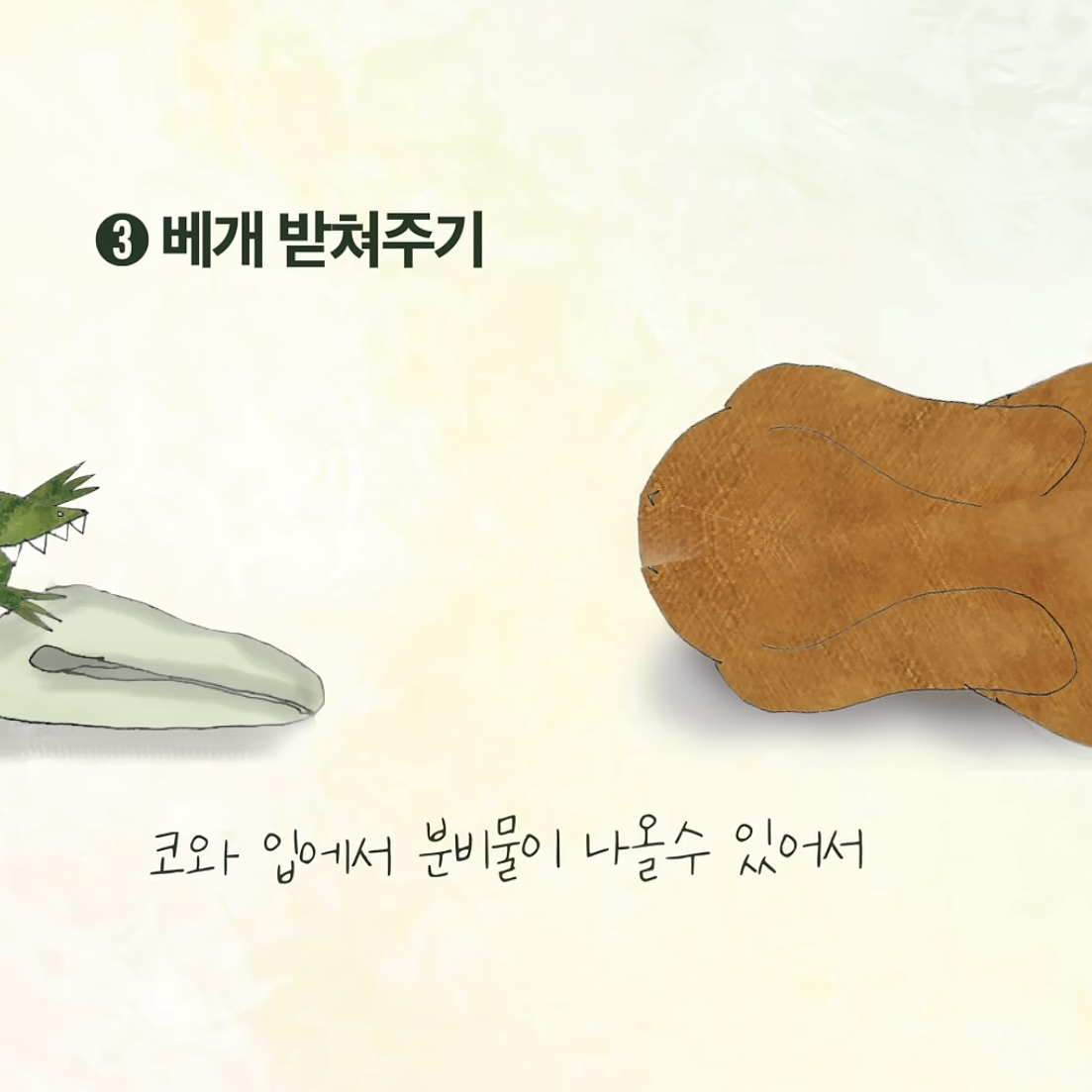 우리집-강아지가-죽으면-해야할-일.jpg-4-이미지
