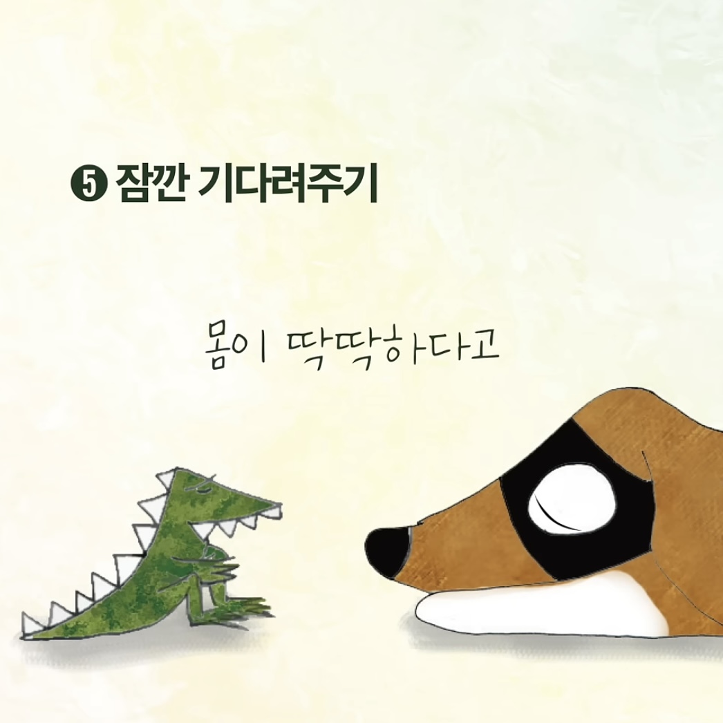 우리집-강아지가-죽으면-해야할-일.jpg-7-이미지