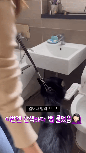 쥐랑-뽀뽀해서-벅벅-씻김-당하던-강아지-이번엔-뱀이랑..ㅋㅋㅋ-0-이미지