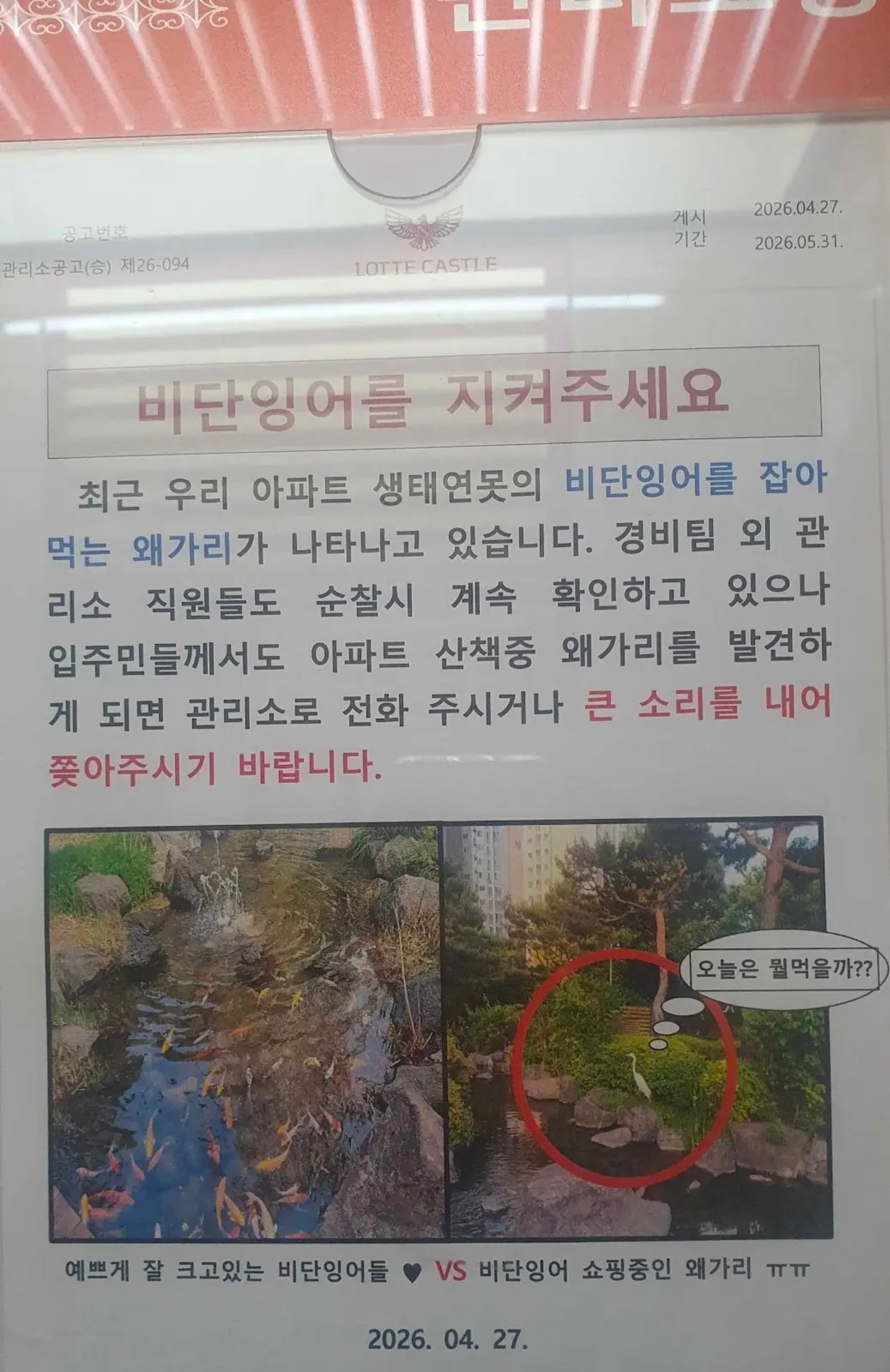 개꿀-파밍지-찾은-왜가리-1-이미지