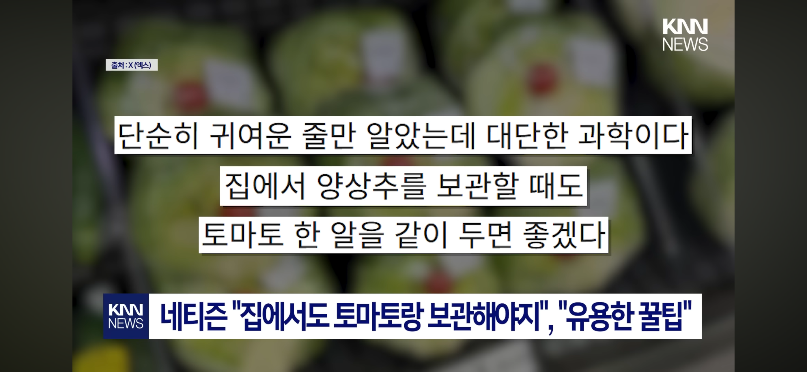 수박과-랩-사이에-방울토마토는-왜-끼워뒀을까?-6-이미지