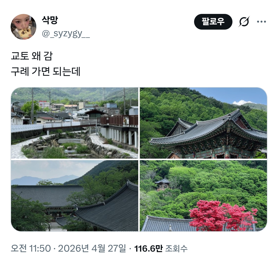 교토-왜-감-구례-가면-되는데.jpg-0-이미지