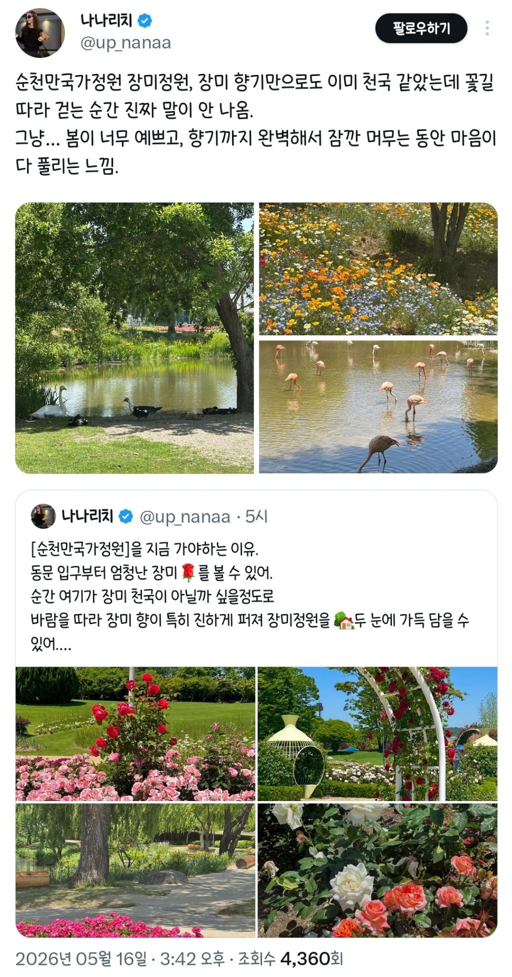 5월의-순천만국가정원-보고-가세요.twt-5-이미지