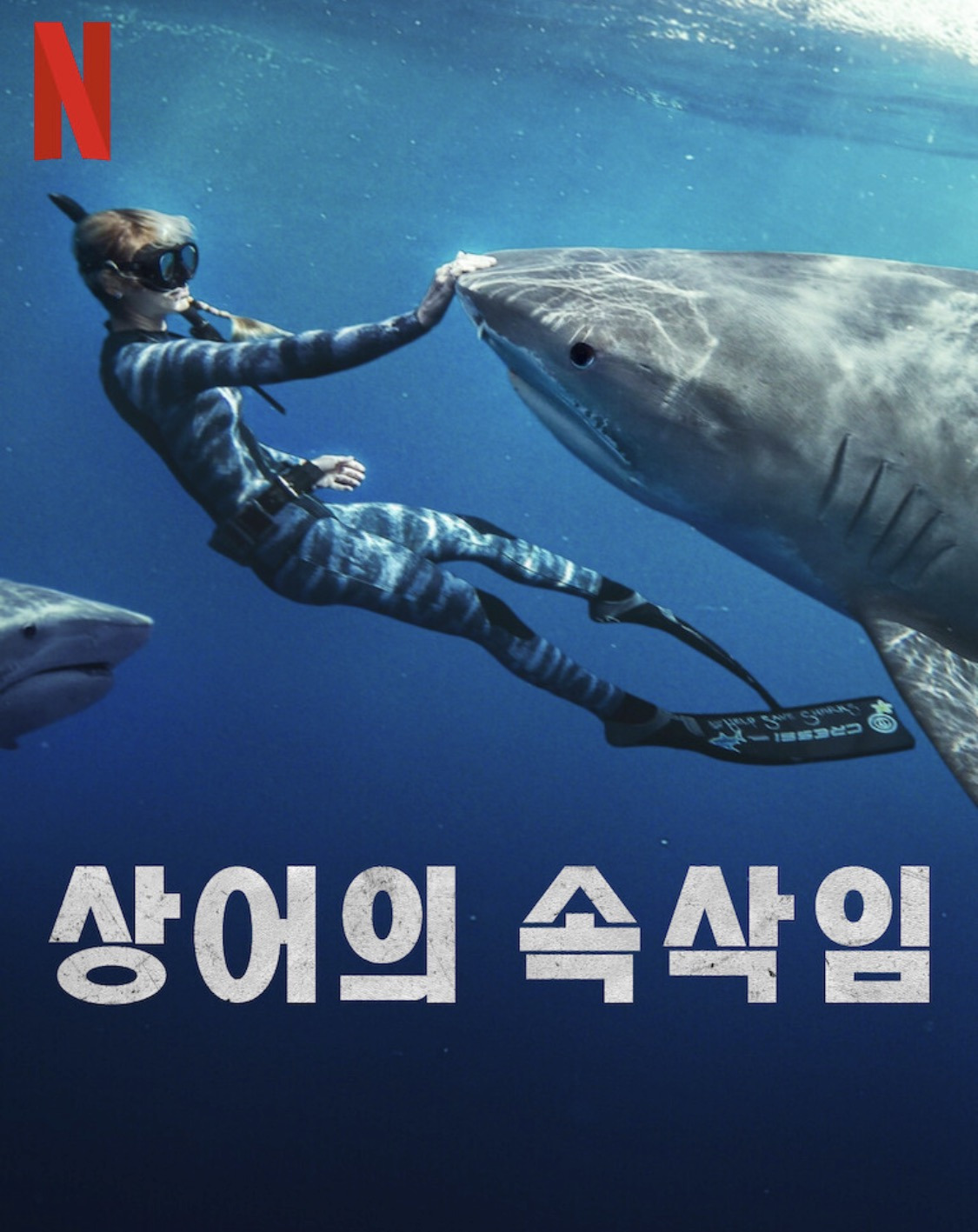 상어랑-수영하는-여자-7-이미지