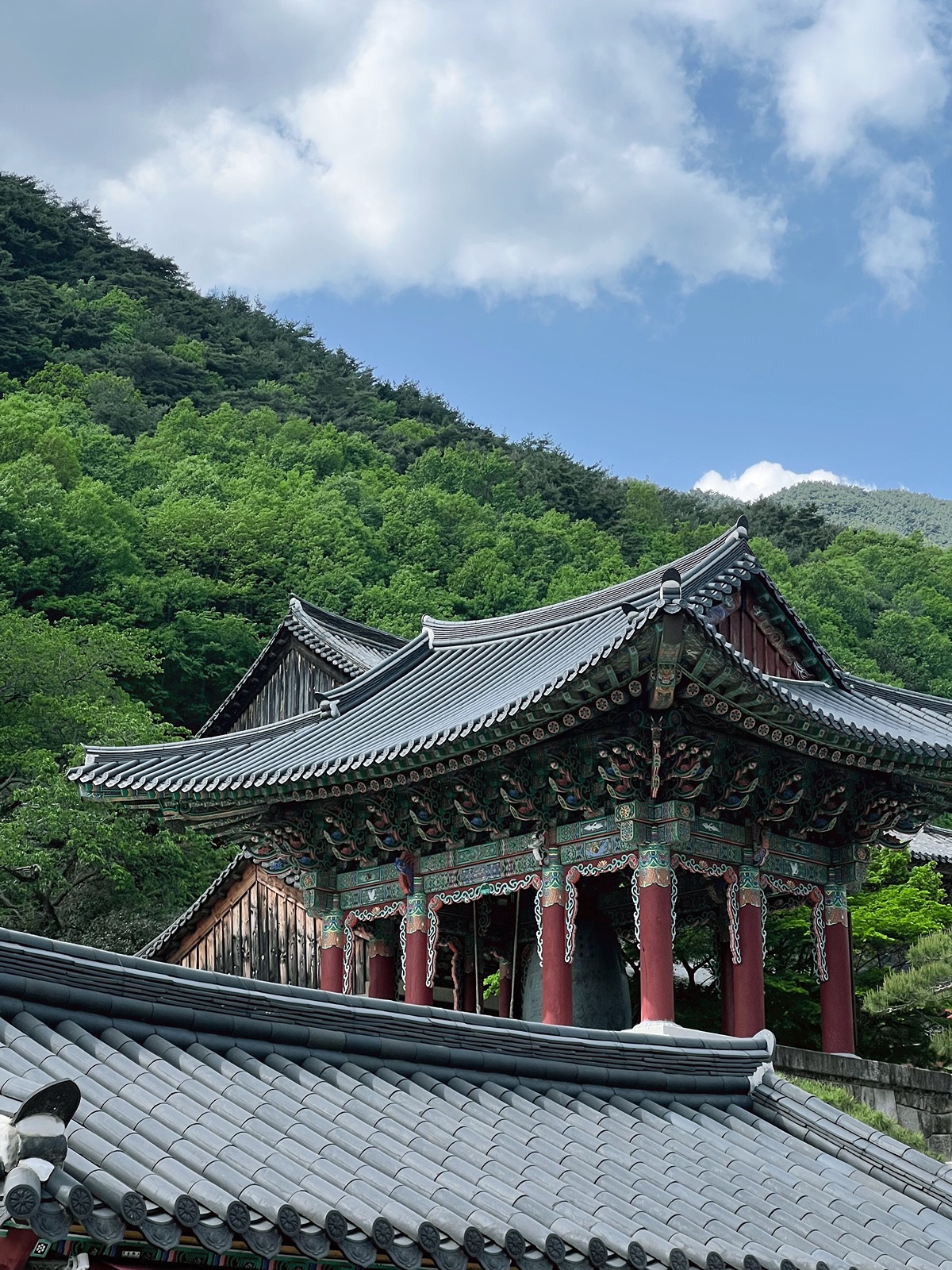 교토-왜-감-구례-가면-되는데.jpg-2-이미지