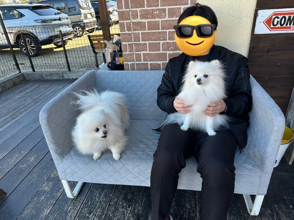 친구에게-아빠-무릎을-뺏긴-강아지의-표정-1-이미지