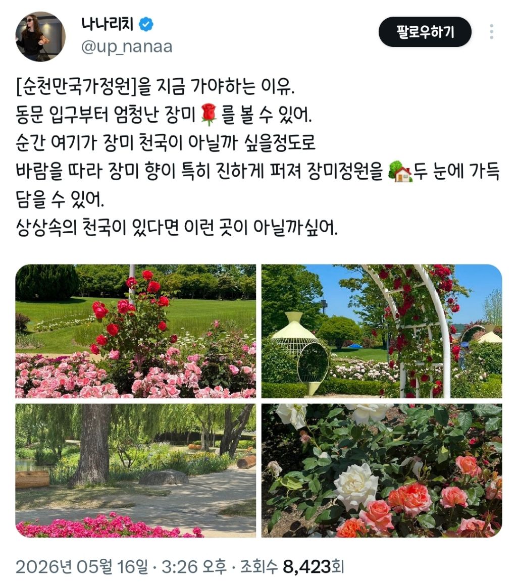 5월의-순천만국가정원-보고-가세요.twt-0-이미지