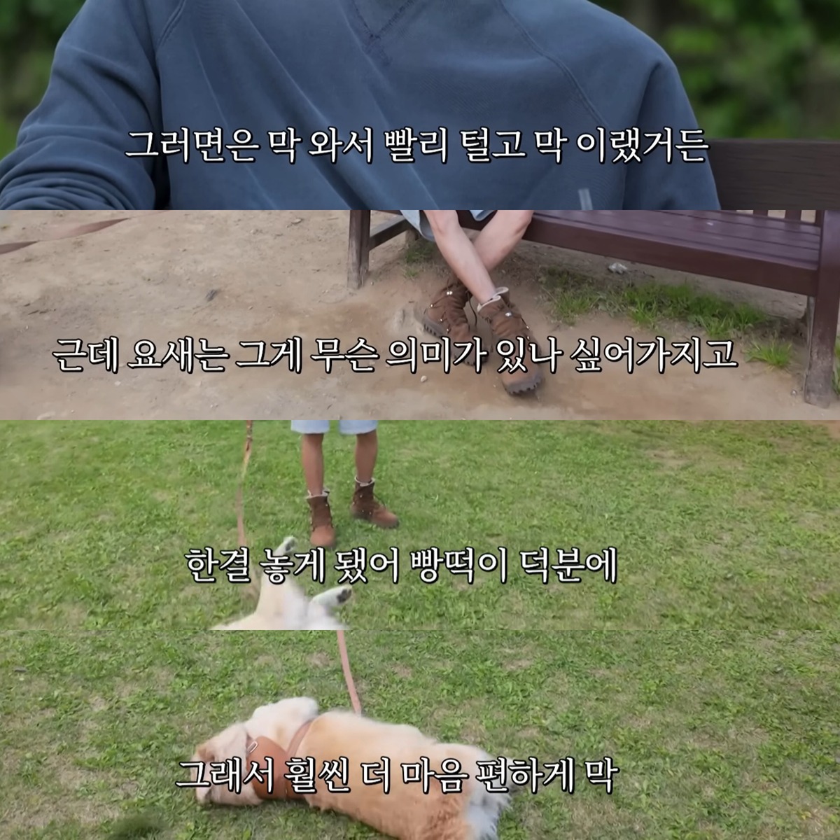 리트리버랑-같이-있으면-예민도가-떨어지는-것-같다는-주우재-1-이미지