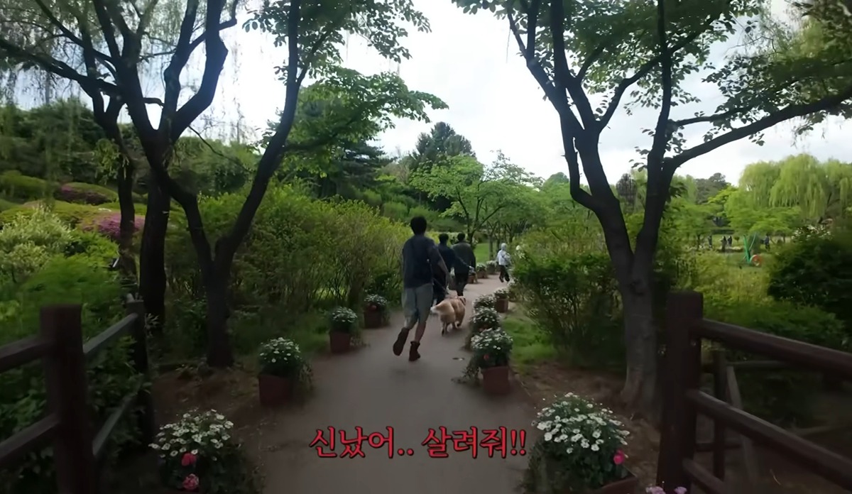 리트리버랑-같이-있으면-예민도가-떨어지는-것-같다는-주우재-9-이미지