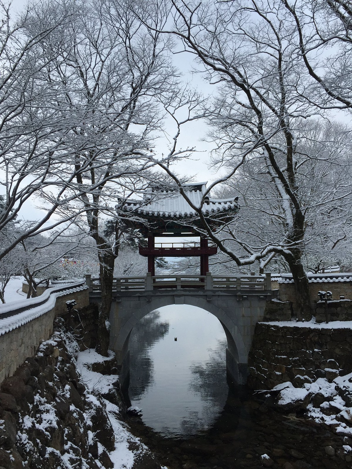 교토-왜-감-구례-가면-되는데.jpg-5-이미지