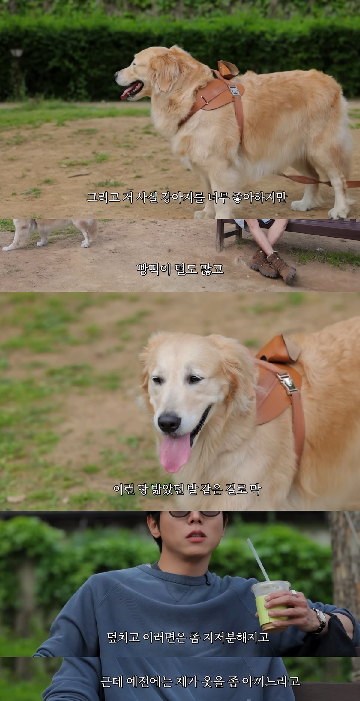 리트리버랑-같이-있으면-예민도가-떨어지는-것-같다는-주우재-0-이미지