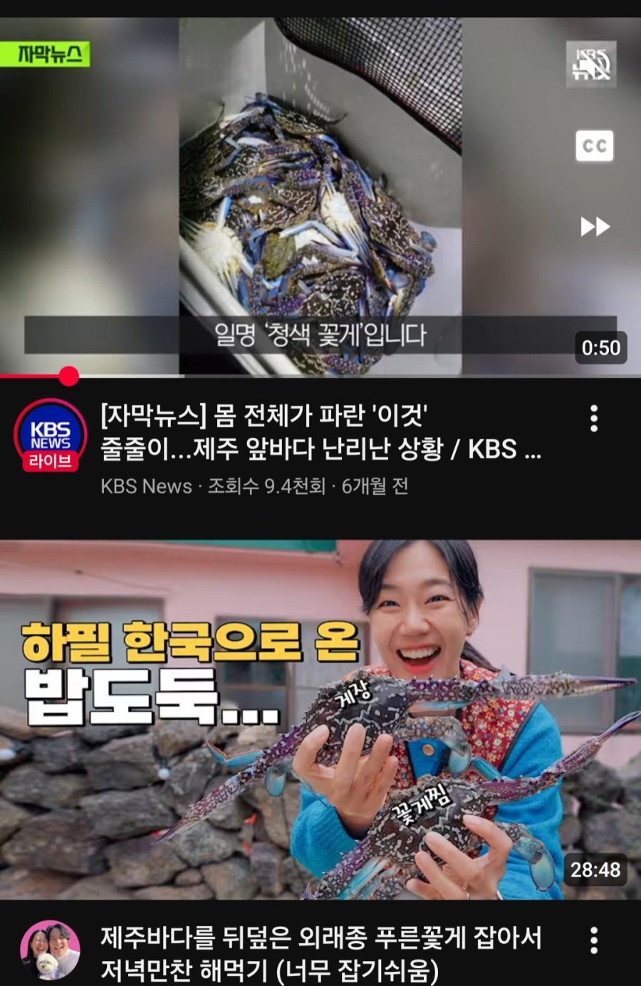 제주도-생태-교란종의-최후-2-이미지