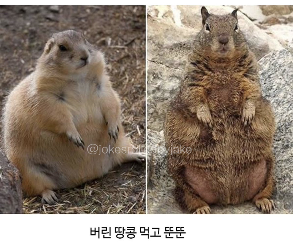 왠지-내-모습같네-3-이미지