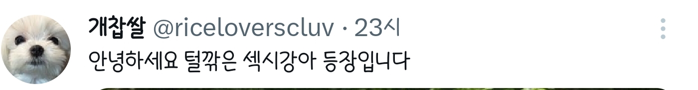 안녕하세요-털깎은-섹시강아-등장입니다-0-이미지