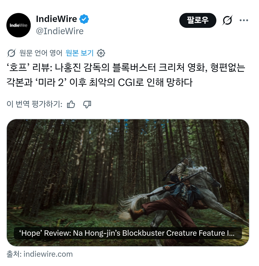 리뷰-풀린-"호프"-레터박스-+-매체평-모음-4-이미지