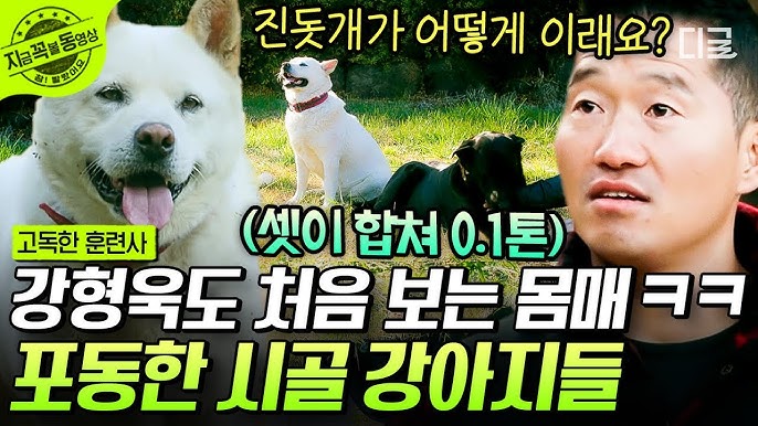개통령-강형욱도-처음-보는-희귀-상황-2-이미지