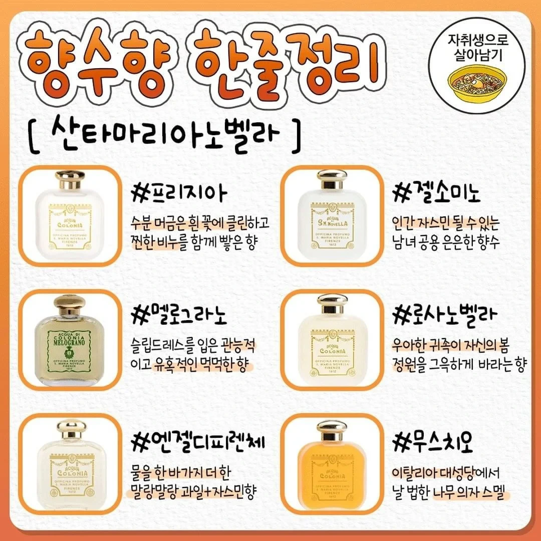 향수-살-때-참고하는-향수향-한줄정리-5-이미지