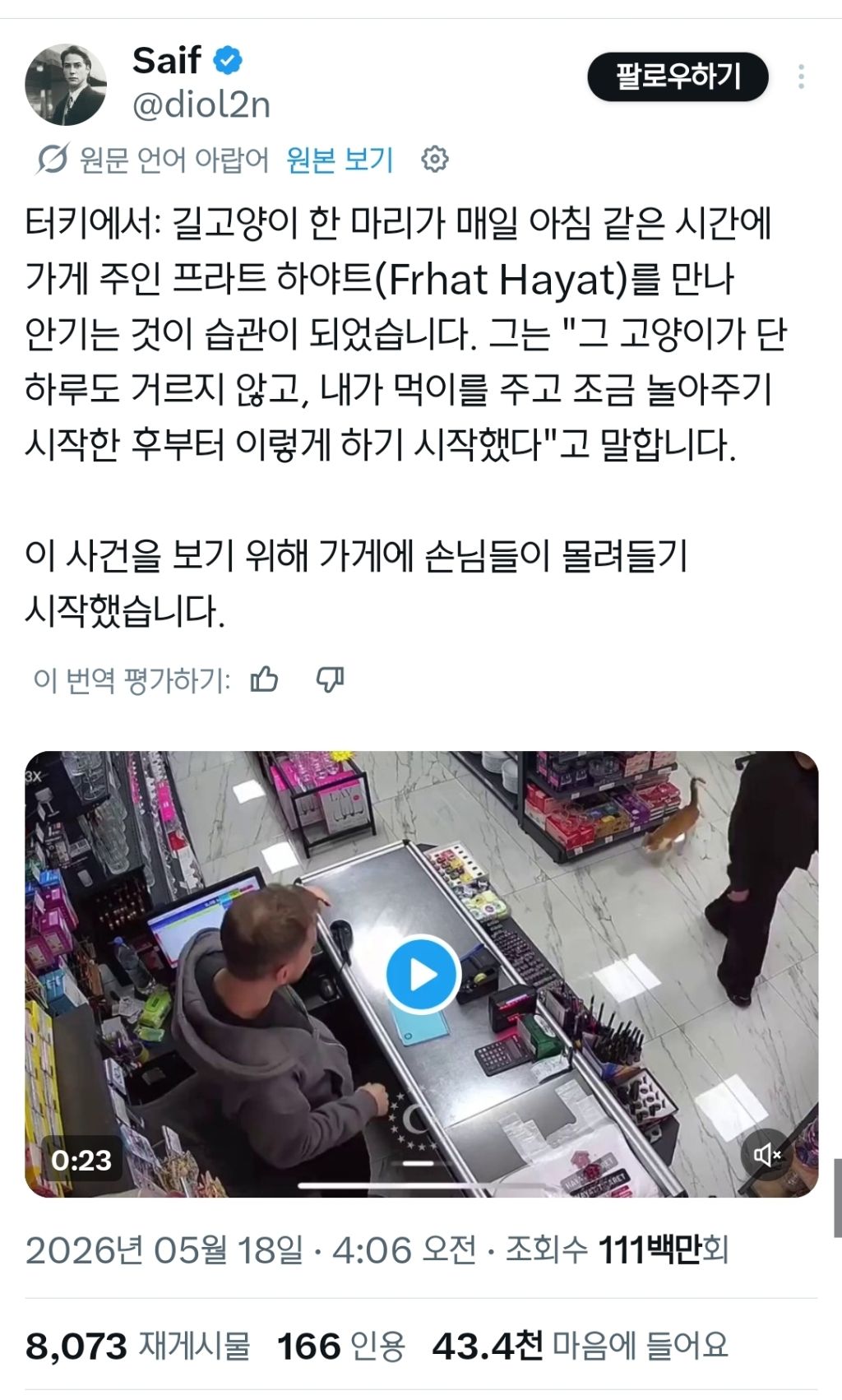 매일-가게로-찾아오는-길고양이-0-이미지
