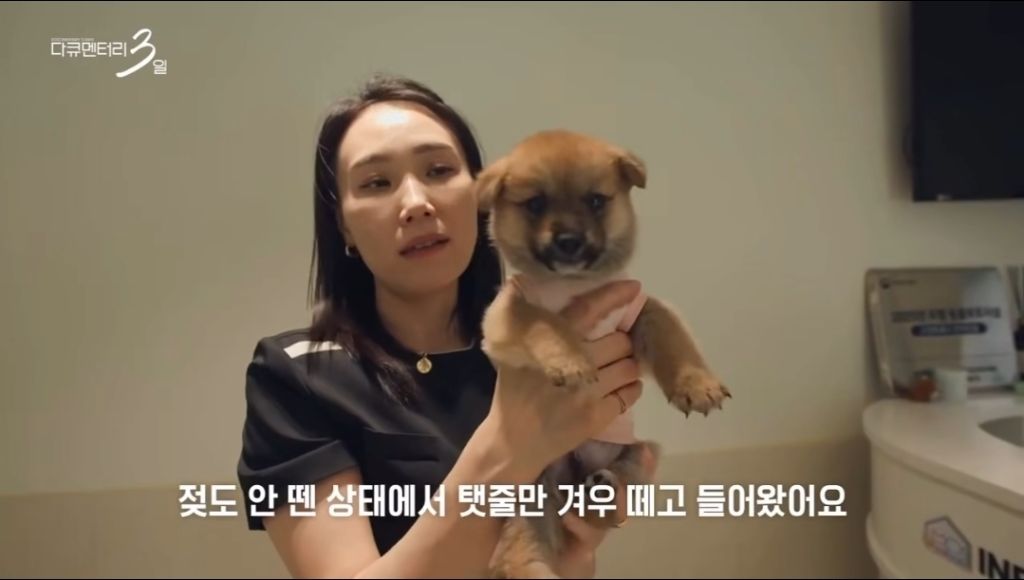 오늘-저녁-8시-30분에-다큐-3일-꼭-봐야하는-이유-4-이미지