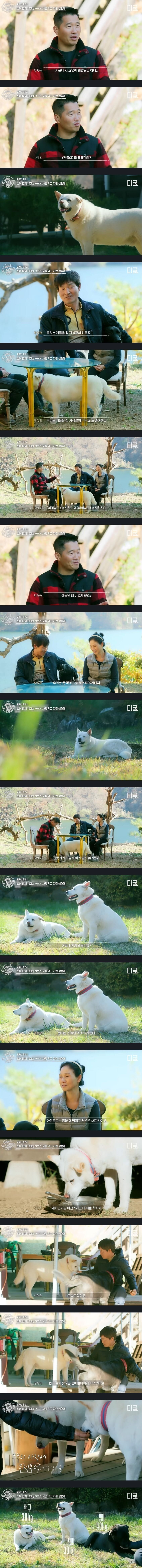 개통령-강형욱도-처음-보는-희귀-상황-1-이미지
