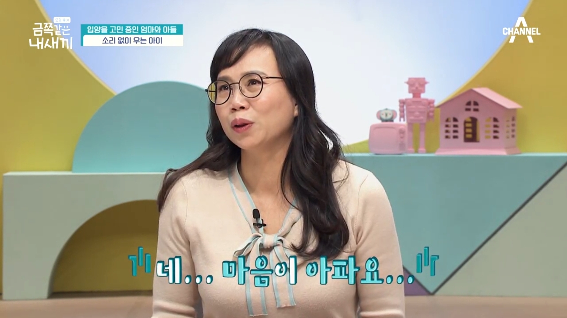 어제자-스튜디오-눈물바다-만든-금쪽같은-내새끼-사연.jpg-9-이미지