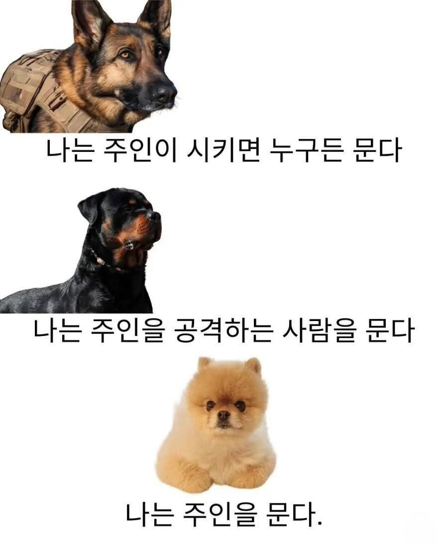 나는-문다.jpg-1-이미지