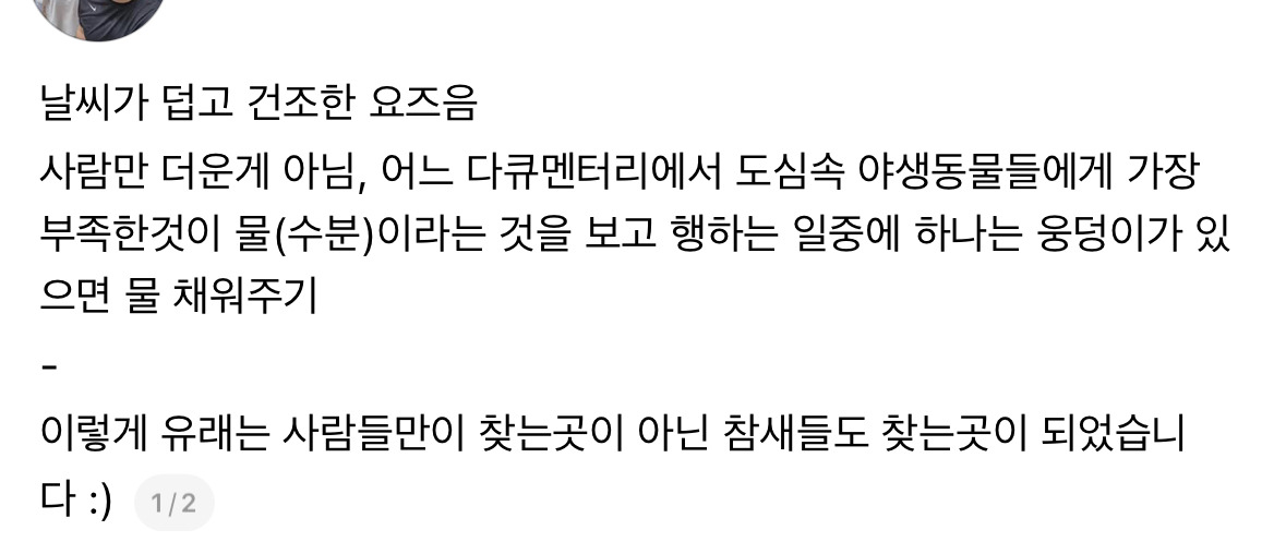 덥고-건조한-요즘-사람만-더운게-아님-0-이미지