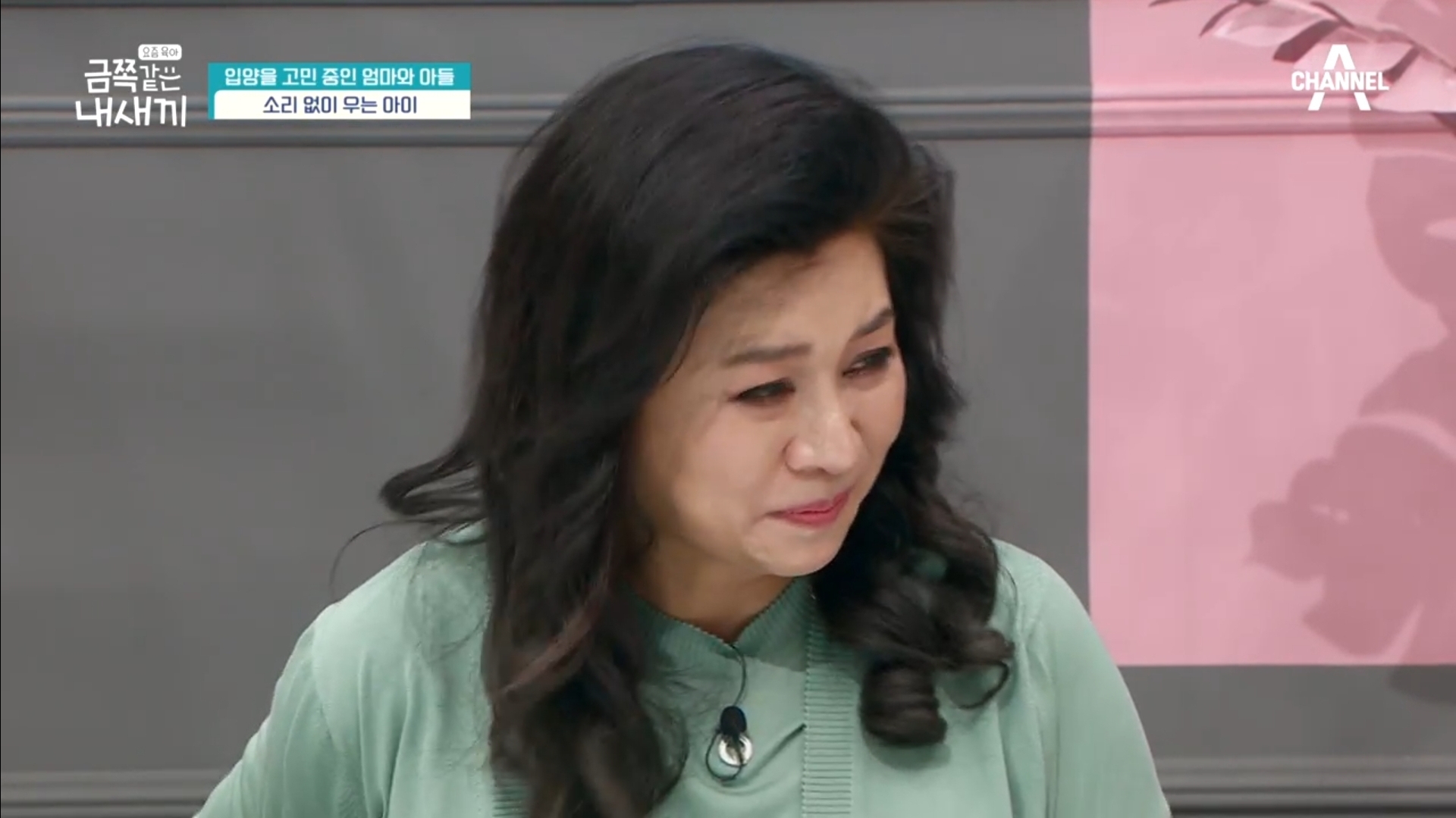 어제자-스튜디오-눈물바다-만든-금쪽같은-내새끼-사연.jpg-14-이미지