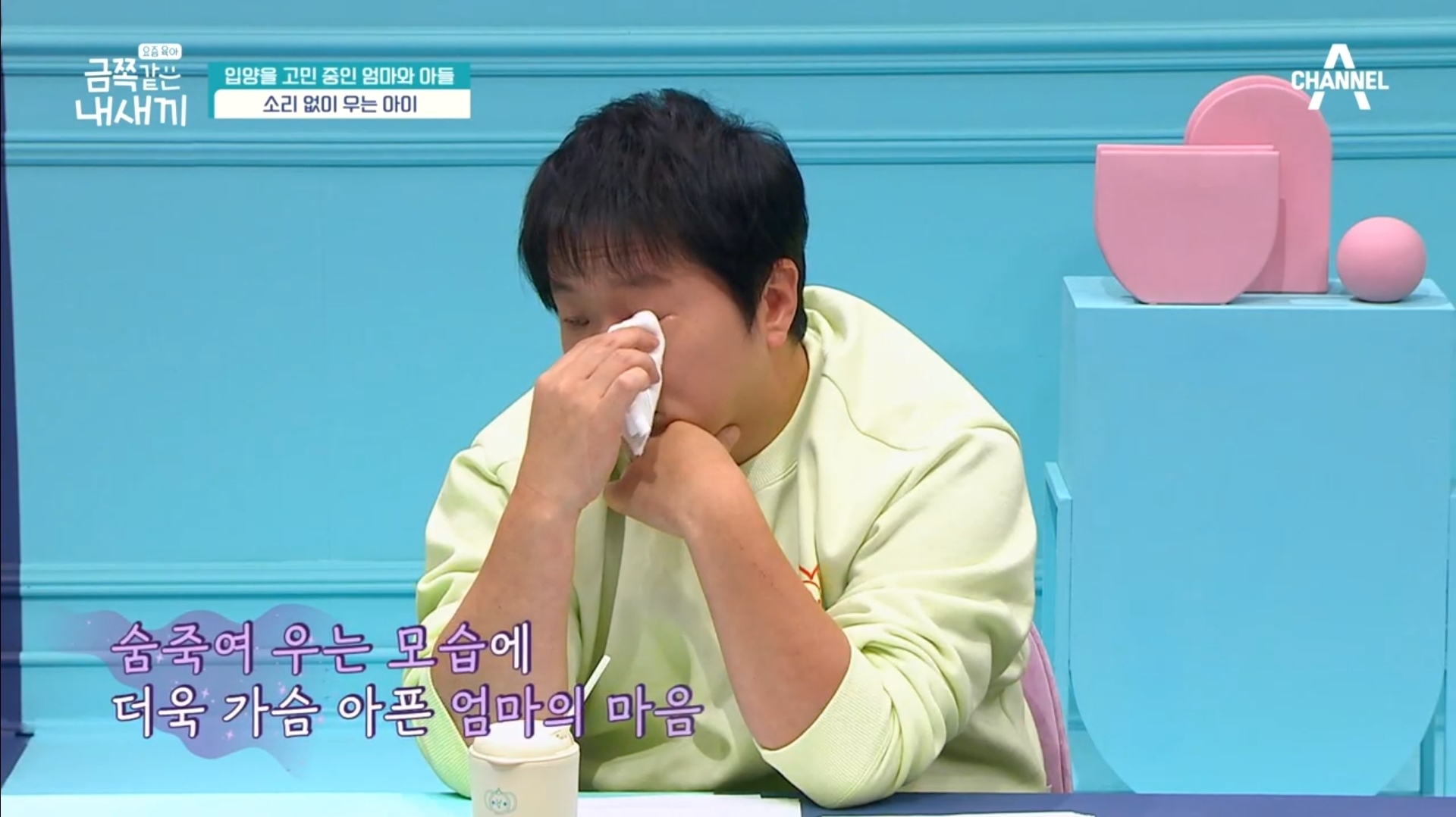 어제자-스튜디오-눈물바다-만든-금쪽같은-내새끼-사연.jpg-13-이미지