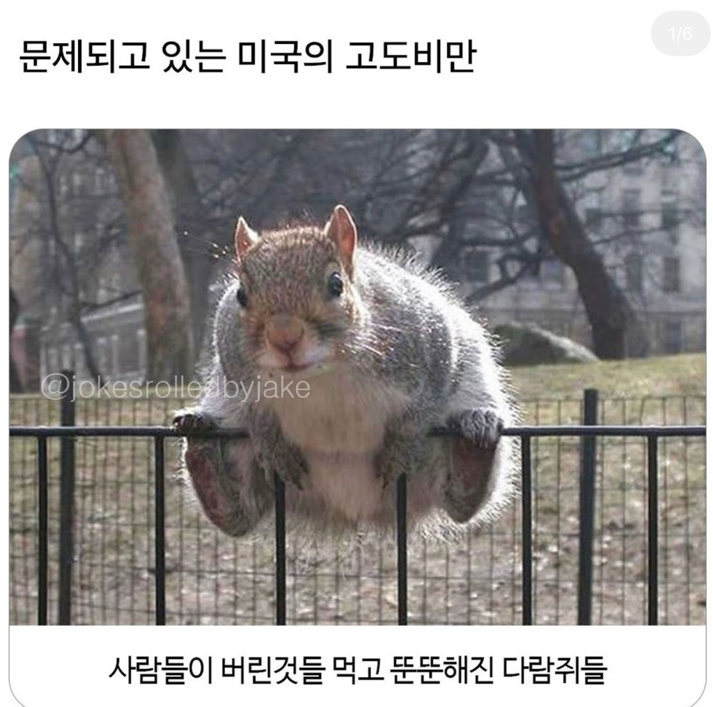 왠지-내-모습같네-1-이미지