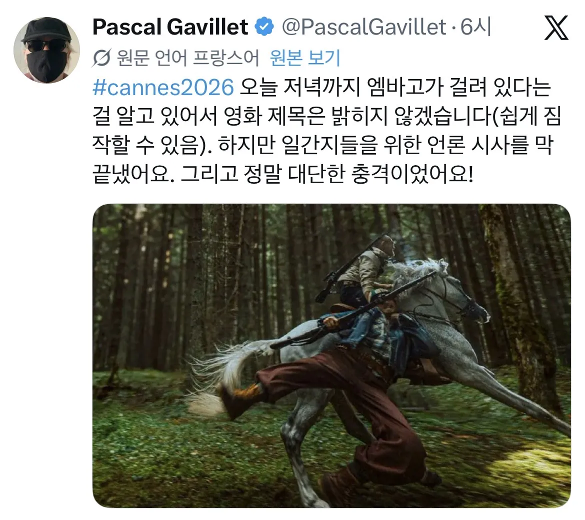 리뷰-풀린-"호프"-레터박스-+-매체평-모음-1-이미지