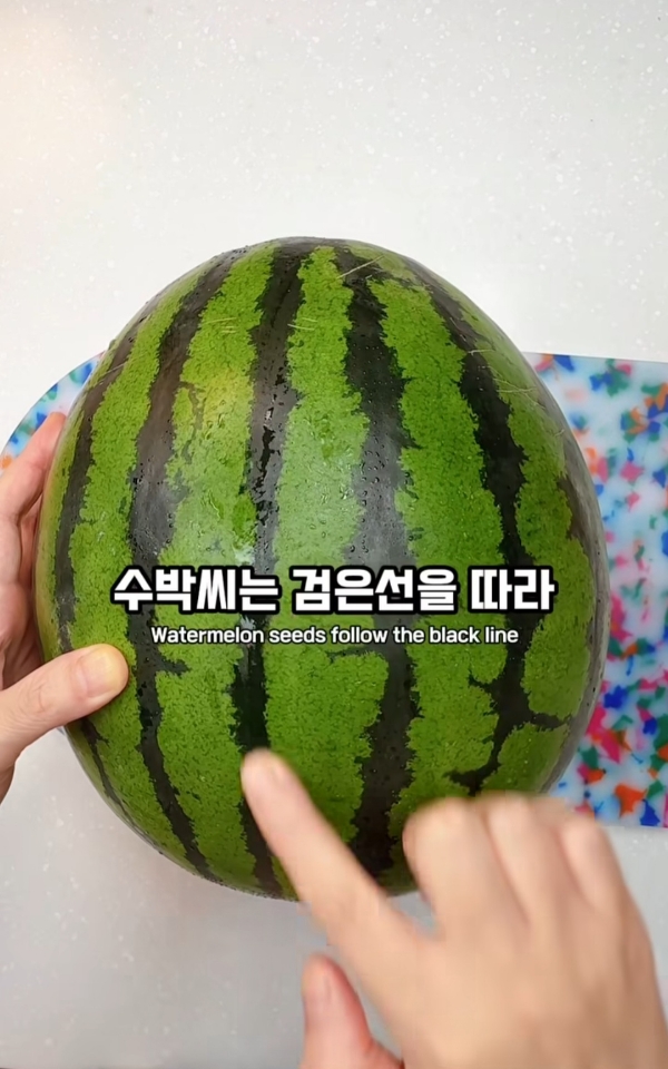 수박씨-이거-알고있었음?.jpg-0-이미지