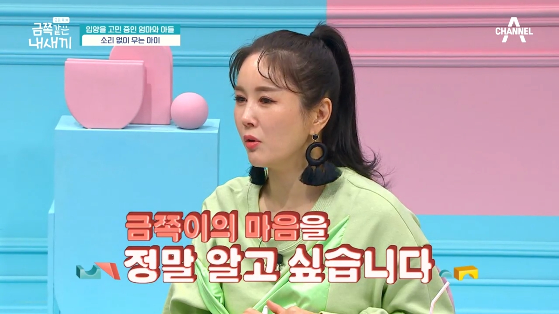 어제자-스튜디오-눈물바다-만든-금쪽같은-내새끼-사연.jpg-6-이미지