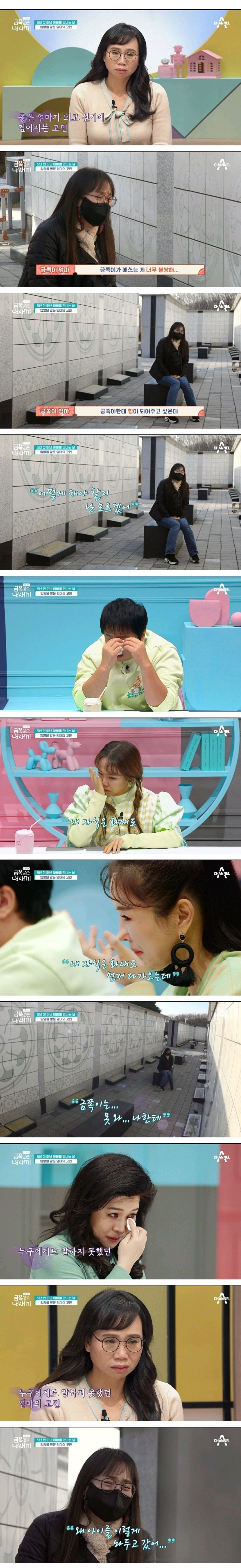 어제자-스튜디오-눈물바다-만든-금쪽같은-내새끼-사연.jpg-1-이미지