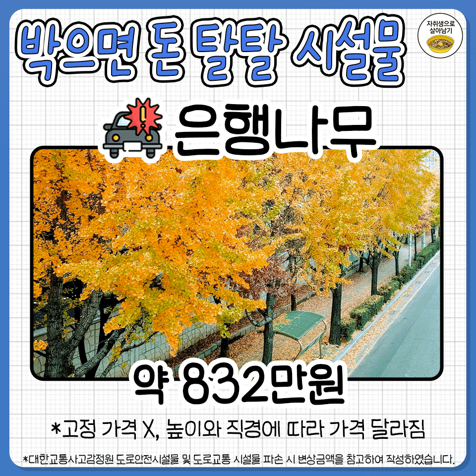 교통사고-났을-때-박으면-돈-탈탈-털리는-시설물들-1-이미지