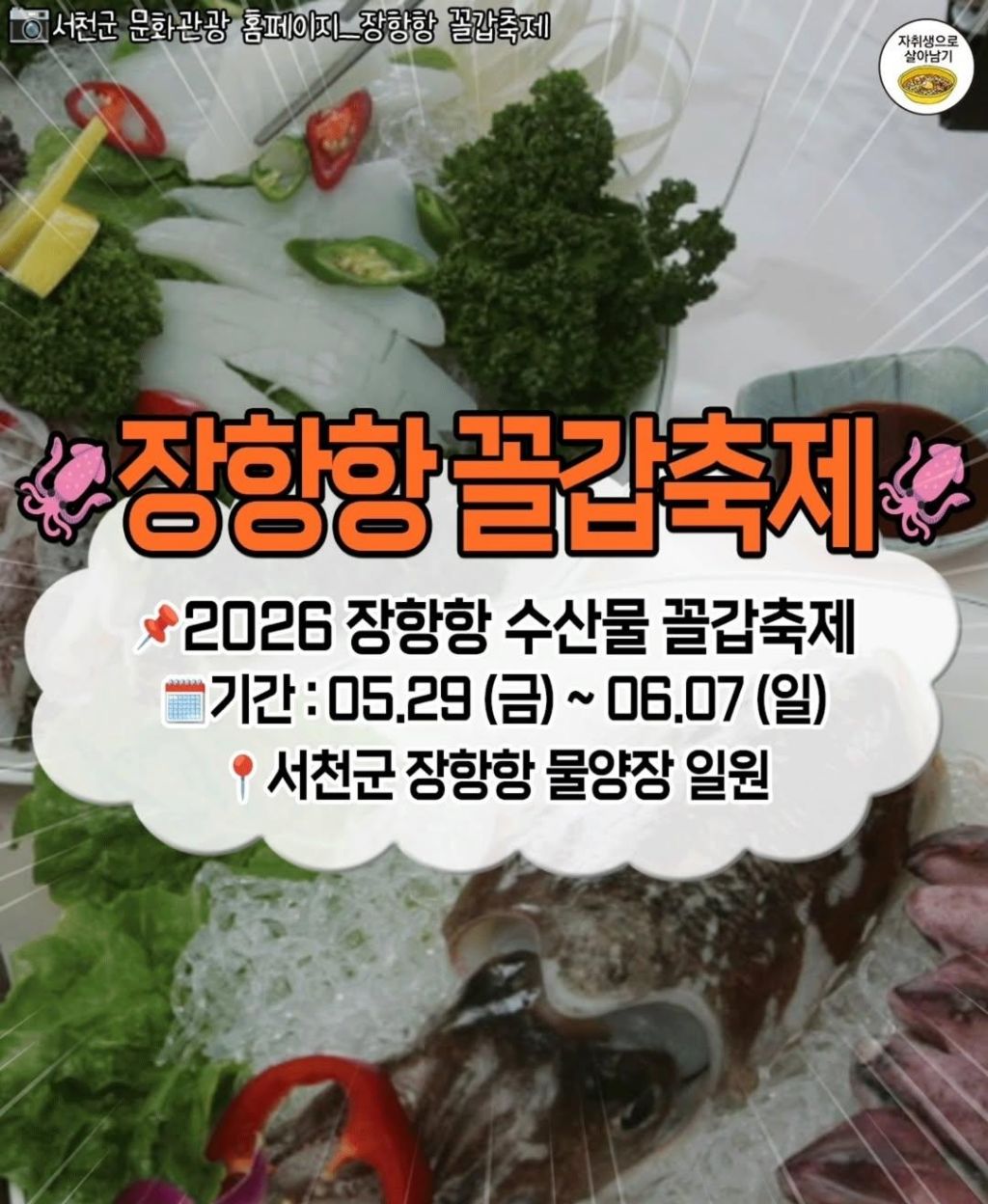 5~6월-전국-주요-축제들-7-이미지