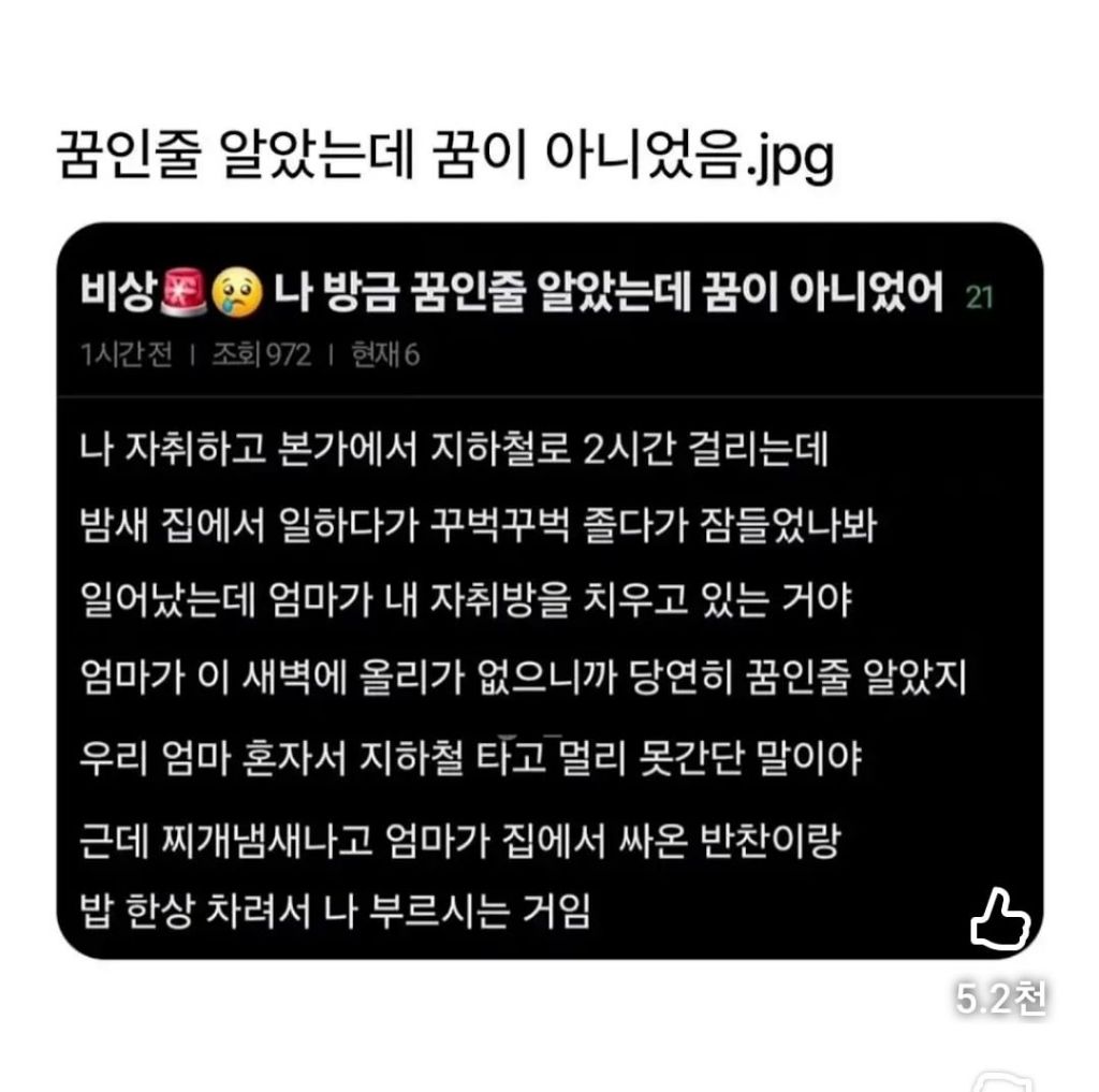 꿈인줄-알았는데-꿈이-아니었음-0-이미지