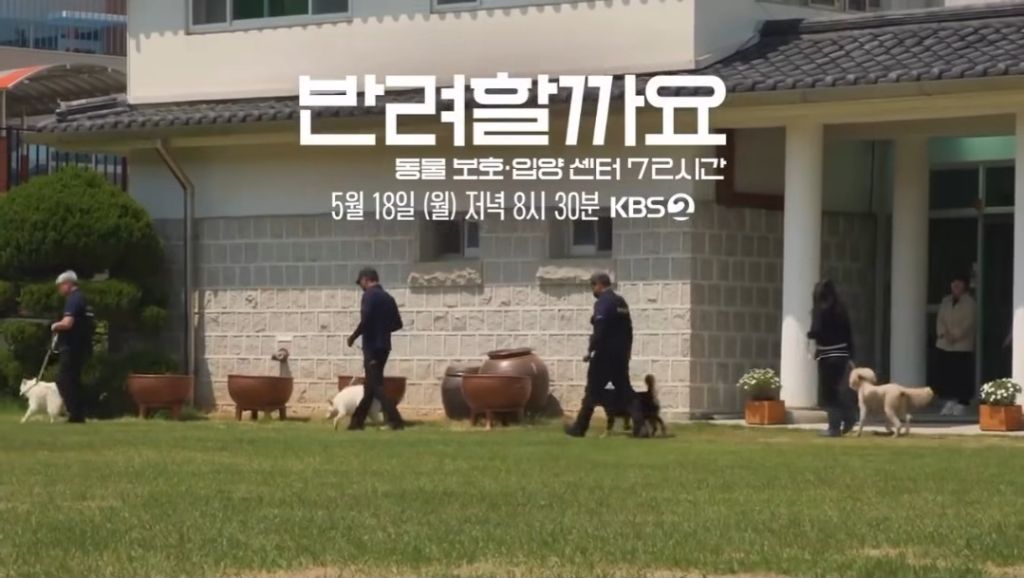 오늘-저녁-8시-30분에-다큐-3일-꼭-봐야하는-이유-8-이미지