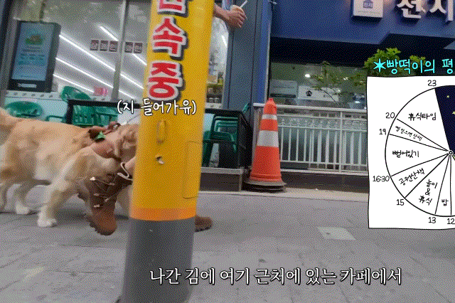 리트리버.gif-4-이미지