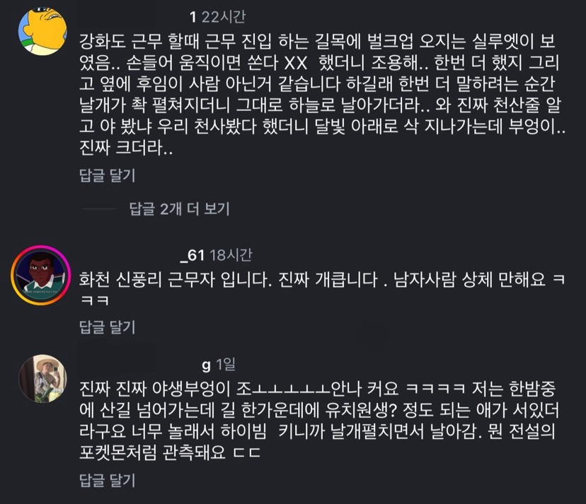 신비한-동물사전-군대버전-11-이미지
