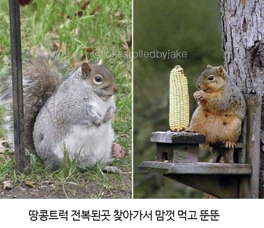 왠지-내-모습같네-4-이미지