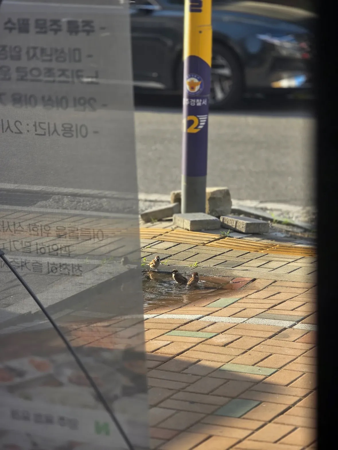 덥고-건조한-요즘-사람만-더운게-아님-4-이미지