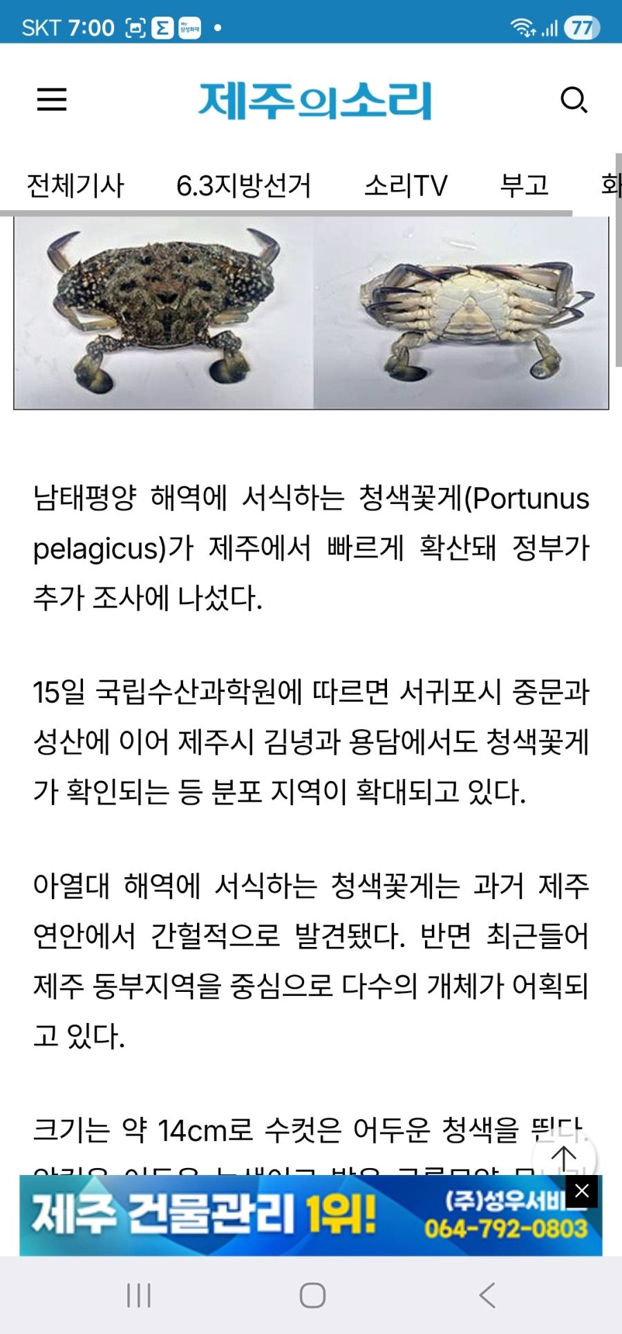 제주도-생태-교란종의-최후-0-이미지