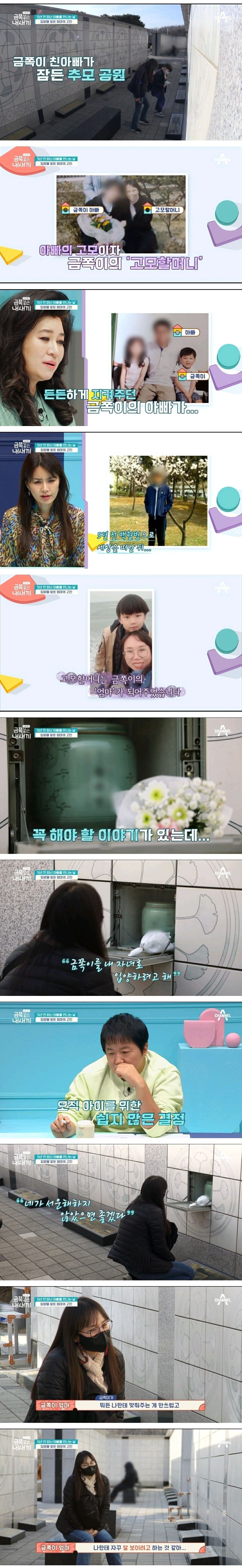 어제자-스튜디오-눈물바다-만든-금쪽같은-내새끼-사연.jpg-0-이미지