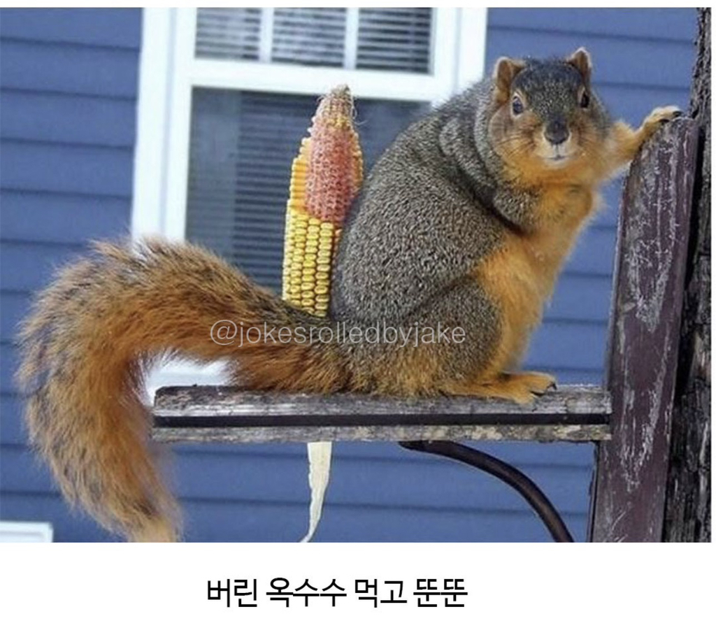 왠지-내-모습같네-2-이미지