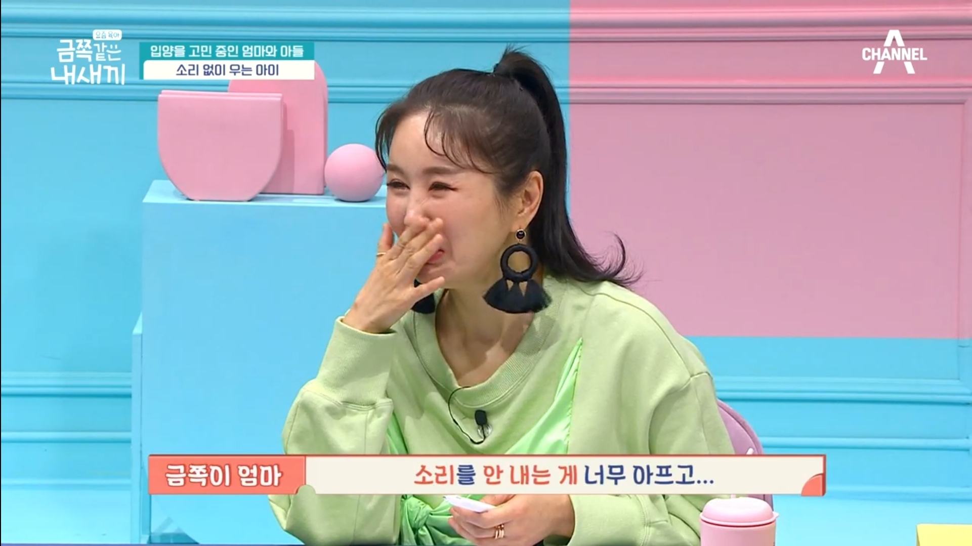 어제자-스튜디오-눈물바다-만든-금쪽같은-내새끼-사연.jpg-11-이미지