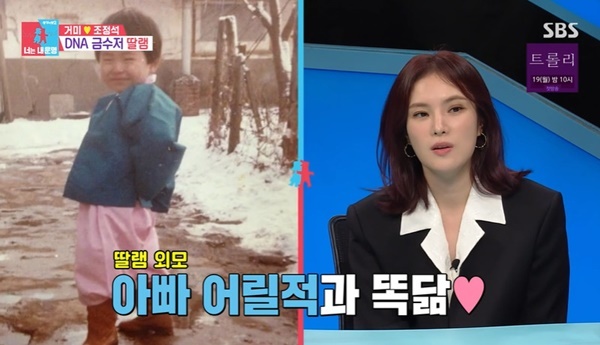 조정석-3명과-살고있다는-거미-1-이미지